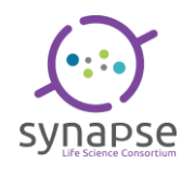 Synapse, Hamilton Logo